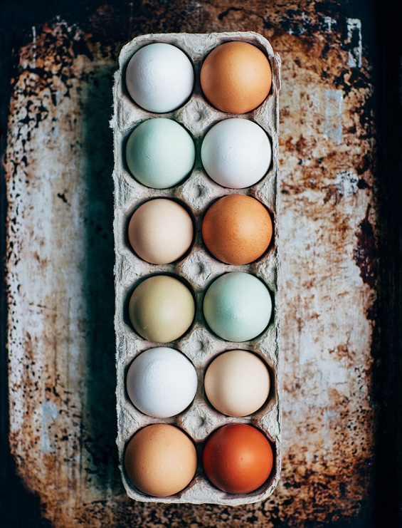 12 colorful eggs in carton